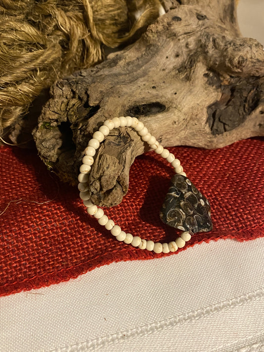 Howlite and Turitella