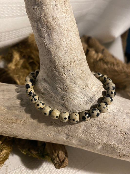 Dalmatian Jasper