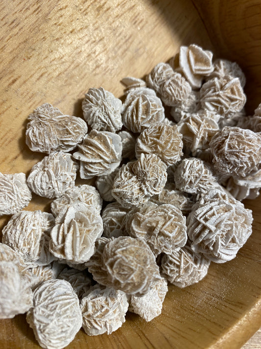 Mini Desert Rose